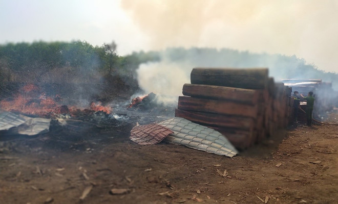 Bình Phước: Cháy khu vực chứa gỗ trong khuôn viên Chi cục Hải Quan ảnh 1