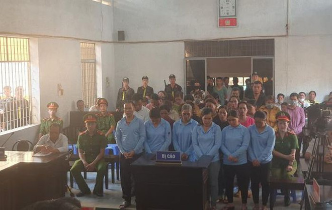  Đắk Lắk: Hơn 120 năm tù cho các bị cáo lừa đảo chiếm đoạt tài sản ảnh 1