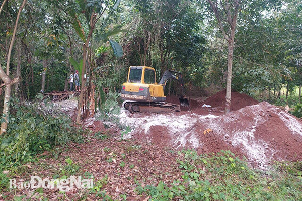 Đồng Nai: Kiểm tra hiện trường vụ chôn lấp trái phép 138 con lợn chết ảnh 1