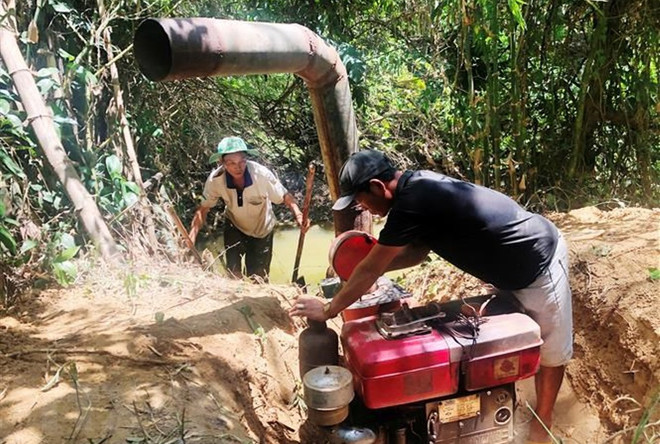 Xâm nhập mặn ở vựa lúa số 1 Việt Nam có thể tăng trong tuần tới ảnh 2