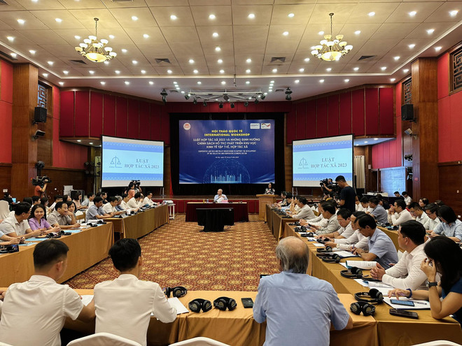 Tạo hành lang pháp lý phát triển kinh tế tập thể trong tình hình mới ảnh 2