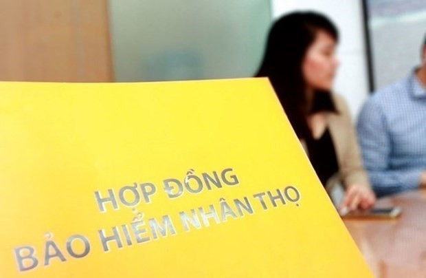 Luật Kinh doanh bảo hiểm có hiệu lực thi hành từ ngày 1/1/2023. (Nguồn: Vietnam+) Những chính sách kinh tế mới nổi bật có hiệu lực từ tháng 1 năm 2023 ảnh 1