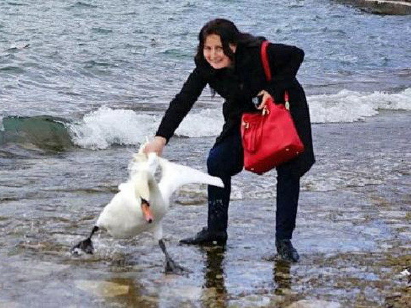 Nữ du khách vô cảm để mặc thiên nga chết sau khi chụp ảnh selfie ảnh 1