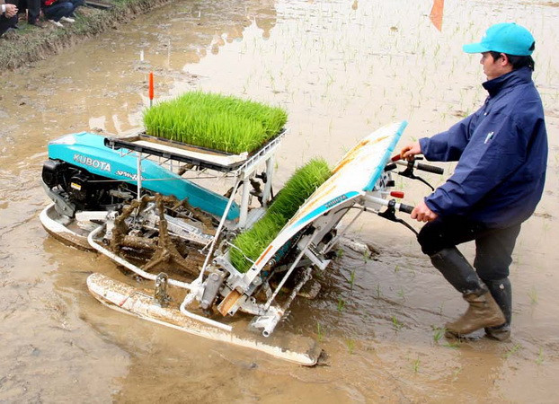 Thử nghiệm máy cấy lúa Kubota SPW-48C. (Ảnh: Đình Huệ/TTXVN) Hà Nội vẫn là "vùng trũng" về cơ giới hóa trong nông nghiệp ảnh 1