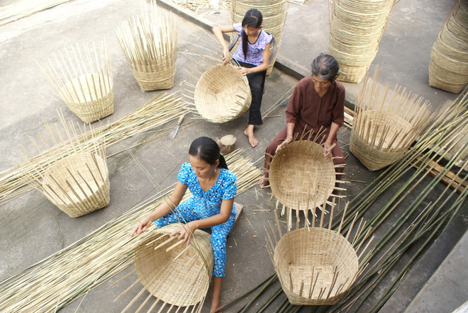 Phấn đấu mỗi năm dạy nghề cho 300.000 lao động vùng ĐBSCL ảnh 1