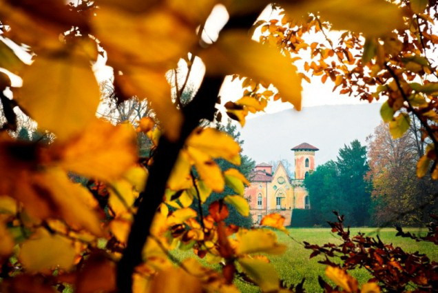 Thưởng thức mùa Thu vàng tuyệt đẹp ở các công viên Italy ảnh 1