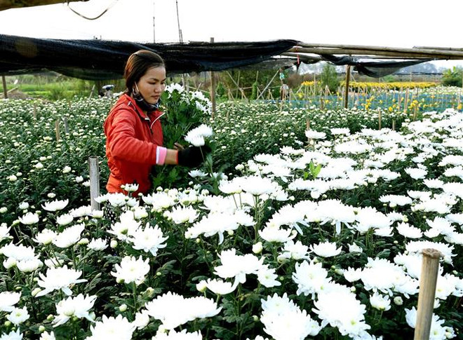 Quận Bắc Từ Liêm: Kỳ vọng về một sự phát triển trong tương lai ảnh 2