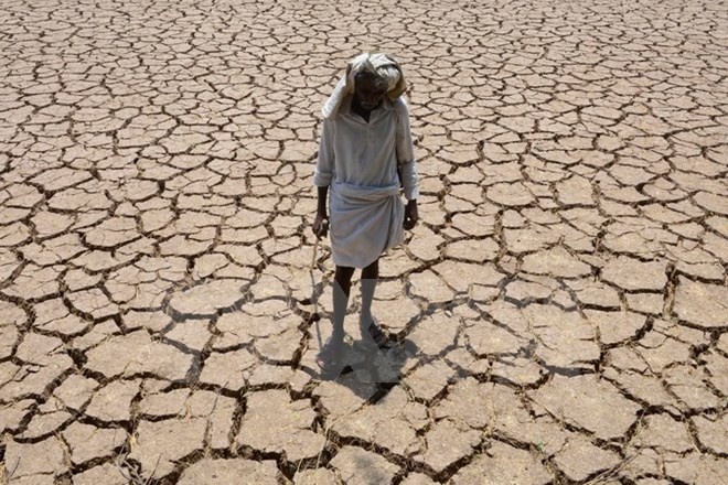 Sự kiện quốc tế tuần 16-22/5: Nguy cơ khủng bố bao trùm châu Âu ảnh 8