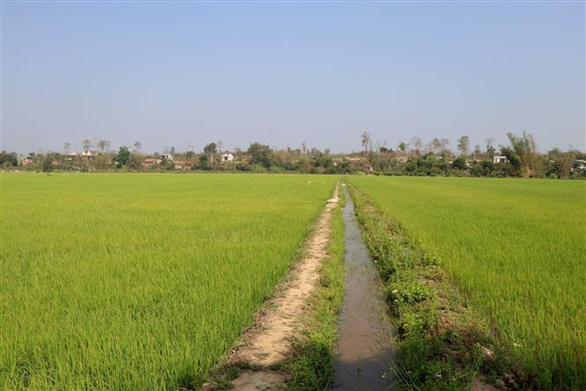 TP.HCM: Khó khăn trong chuyển đổi đất nông nghiệp sang đất đô thị ảnh 1