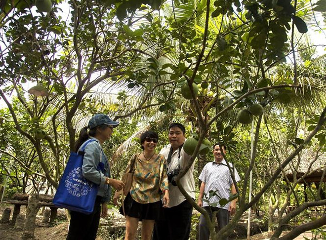 Liên kết phát triển du lịch bền vững: Định vị sản phẩm đặc sắc ảnh 2