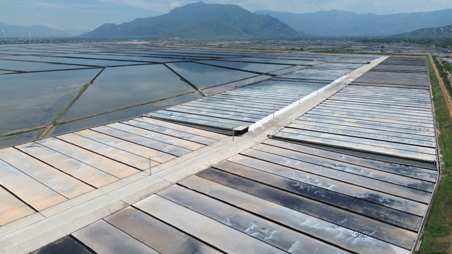 Ninh Thuận chú trọng phát triển nông nghiệp ứng dụng công nghệ cao ảnh 3