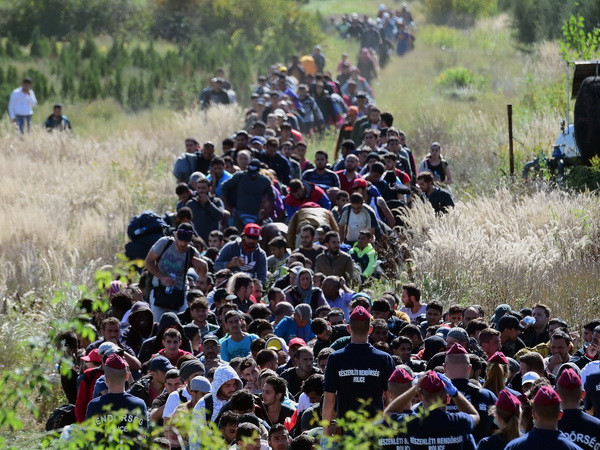 EP bổ sung hơn 400 triệu euro giải quyết vấn đề người nhập cư ảnh 1