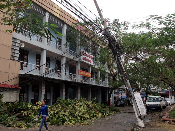 Nhiều cột điện ở TP. Hạ Long đổ gãy do bão. (Ảnh: Thanh Tùng/TTXVN) Đã có 18 người chết, mất tích, 81 người bị thương vì bão ảnh 1