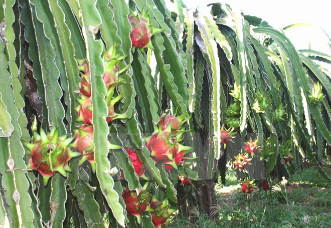 Sự kiện trong nước tuần qua: Hội nghị Trung ương "chốt" đề cử nhân sự ảnh 4