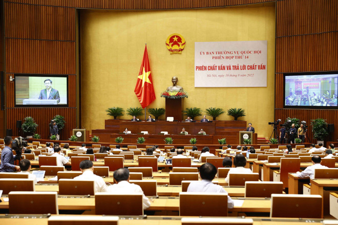 Hai lĩnh vực được lựa chọn chất vấn phù hợp với diễn biến thực tế ảnh 1