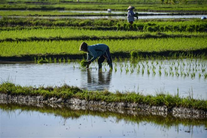 Indonesia phân bổ gần 1 tỷ USD để phục hồi kinh tế trong năm 2022 ảnh 1