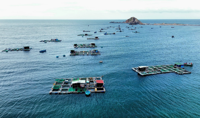 Mô hình lồng bè nuôi tôm hùm, cá biển của ngư dân huyện Ninh Hải, tỉnh Ninh Thuận. (Ảnh: Nguyễn Thành/TTXVN) kinh te bien.jpg