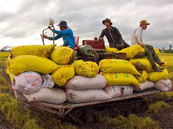 Nông nghiệp Việt “đủng đỉnh” tiến vào hội nhập sau gần 2 thập kỷ ảnh 2