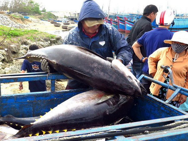 EC tiếp tục khuyến nghị cho Việt Nam khắc phục "thẻ vàng" ảnh 1