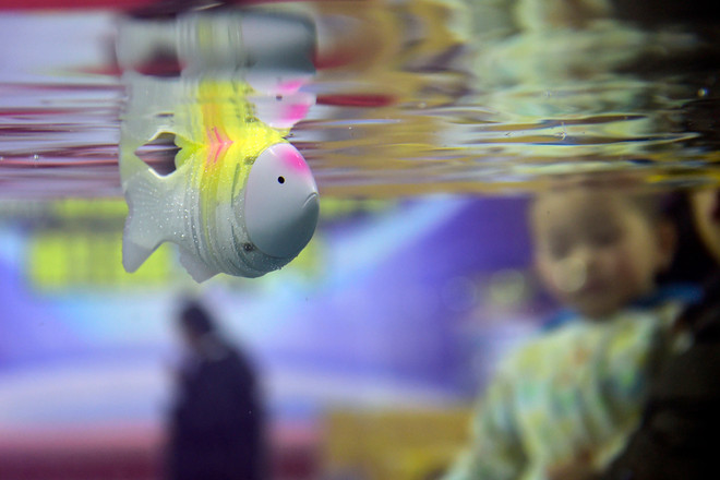 Trung Quốc chế tạo cá robot thân mềm đo độ mặn nước biển ảnh 1