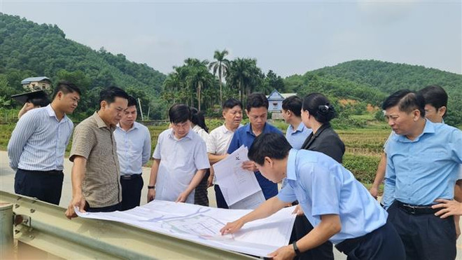 Thủ tướng đôn đốc ban hành văn bản quy định chi tiết thi hành luật ảnh 1