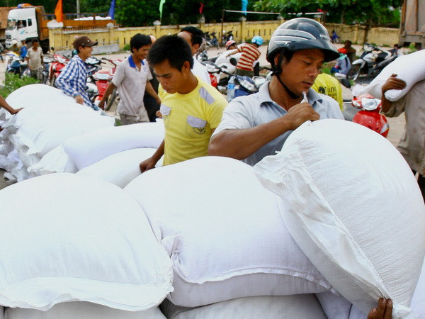 Quảng Bình khẩn trương phân bổ hơn 1.200 tấn gạo hỗ trợ cứu đói ảnh 1