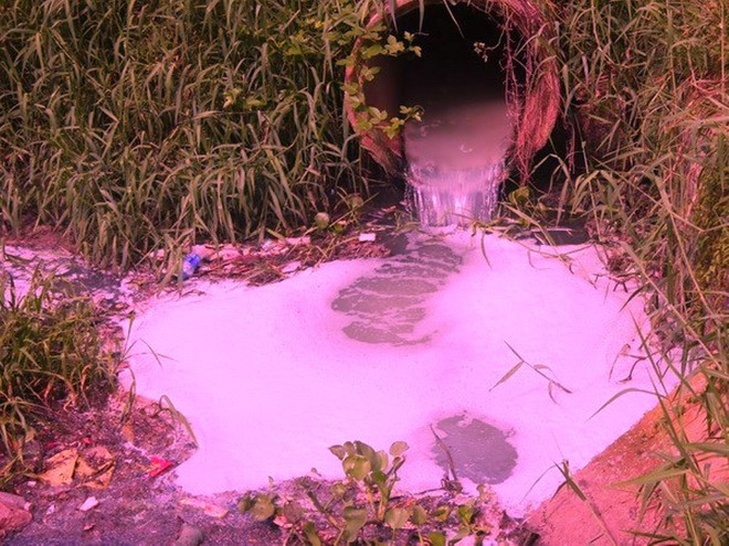 Dự kiến thanh tra 520 trường hợp có nguy cơ gây ô nhiễm môi trường ảnh 1