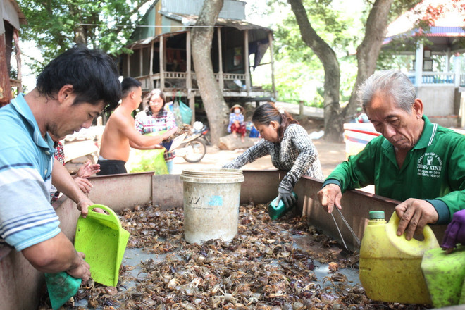 Mưu sinh mùa lũ muộn ở nơi đầu nguồn châu thổ sông Cửu Long ảnh 2