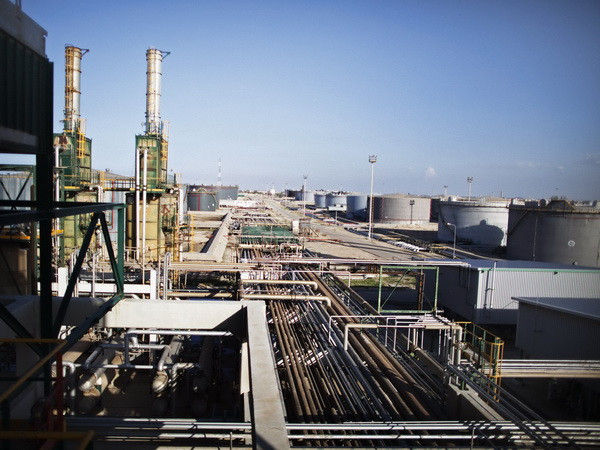 OPEC dự báo nhu cầu dầu thô toàn cầu tăng cao trong năm 2016 ảnh 1