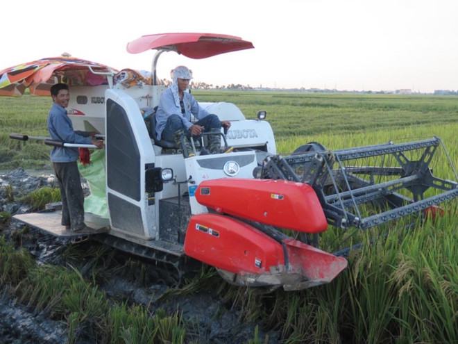 100 doanh nghiệp sẽ được nhận danh hiệu “Doanh nghiệp vì nhà nông" ảnh 1