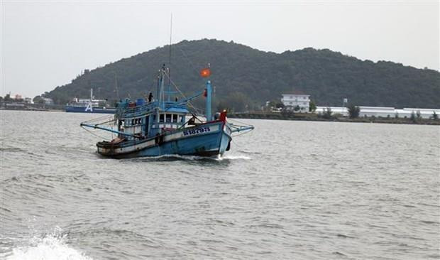 Tàu cá trên vùng biển Hà Tiên. (Ảnh: Lê Huy Hải/TTXVN) Bước tiến mới để gỡ "thẻ vàng" của EC trong khai thác thủy sản ảnh 1