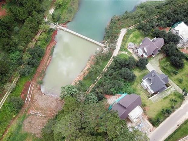 Trồng thêm 1.000 cây thông và mai anh đào ở khu vực hồ Tuyền Lâm ảnh 1