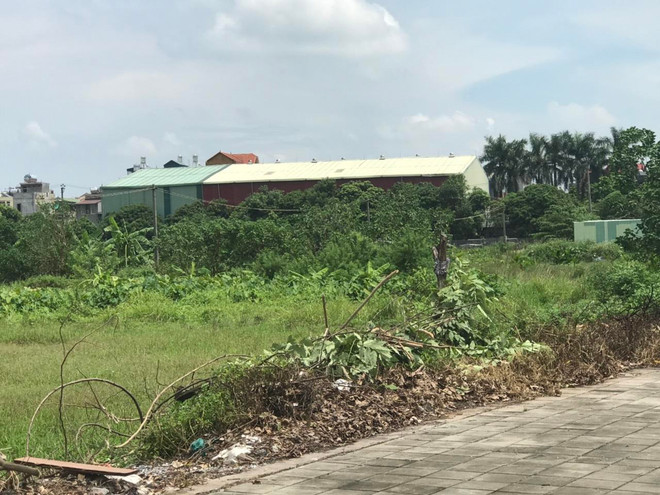 Xử lý dứt điểm sai phạm trong quản lý, sử dụng đất đai ở Long Biên ảnh 1