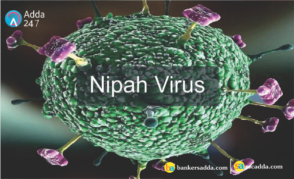 Đẩy nhanh nghiên cứu vắcxin ngừa virus Nipah gây tổn thương não bộ ảnh 1