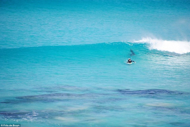 Vận động viên lướt sóng lạnh lùng đối mặt với cá mập hung dữ ảnh 3