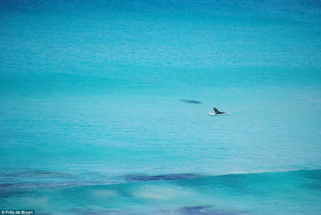 Vận động viên lướt sóng lạnh lùng đối mặt với cá mập hung dữ ảnh 4