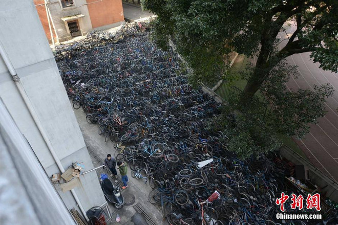 [Photo] Choáng với "nghĩa địa xe đạp" khổng lồ ở Trung Quốc ảnh 4
