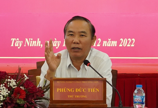 Thứ trưởng Phùng Đức Tiến: Xử phạt nghiêm các đối tượng khai thác IUU ảnh 1