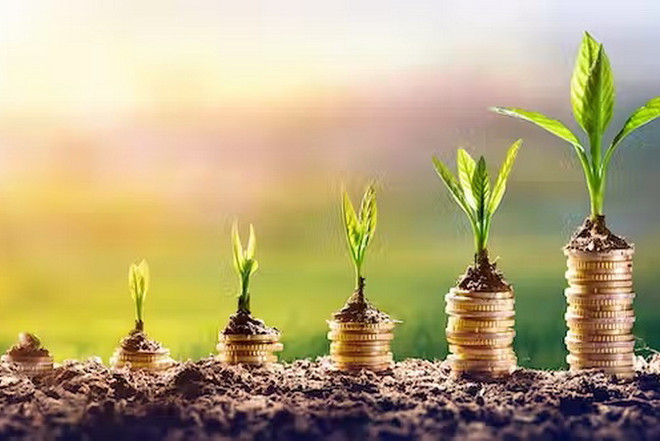 COP15: Thêm 6 nước cam kết tăng hỗ trợ tài chính bảo tồn hệ sinh thái ảnh 1