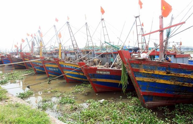 Ảnh minh họa. (Nguồn: TTXVN) Tăng cường đảm bảo an toàn tàu thuyền ứng phó với bão số 6 ảnh 1