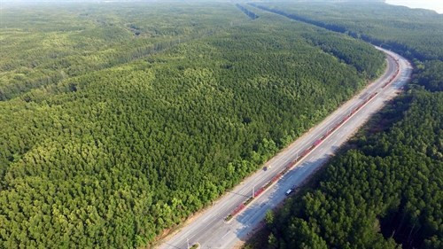 TP.HCM: Phát triển huyện Cần Giờ trở thành thành phố du lịch sinh thái ảnh 1