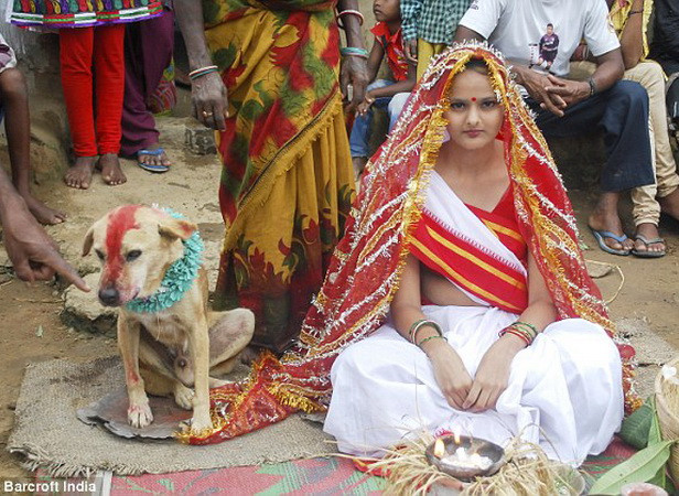 Cô gái 18 tuổi người Ấn Độ phải cưới... chó để tránh tai ương ảnh 1