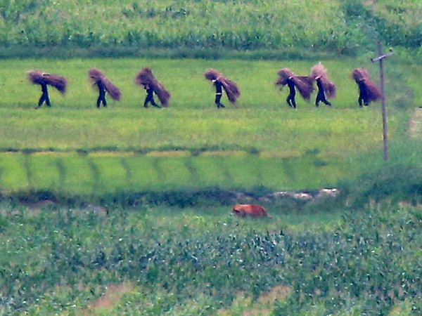 Cơ hội cho sự hòa giải và xích lại gần nhau giữa hai miền Triều Tiên ảnh 1