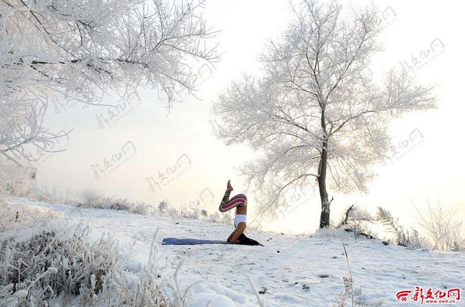 Cô gái chơi trội khi tập Yoga ngoài trời giá lạnh âm 30 độ C ảnh 3