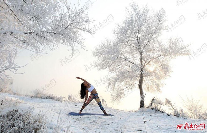 Cô gái chơi trội khi tập Yoga ngoài trời giá lạnh âm 30 độ C ảnh 2