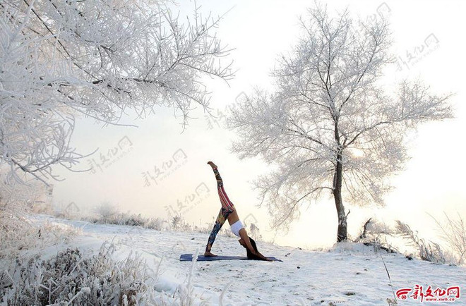 Cô gái chơi trội khi tập Yoga ngoài trời giá lạnh âm 30 độ C ảnh 1