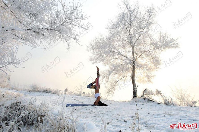 Cô gái chơi trội khi tập Yoga ngoài trời giá lạnh âm 30 độ C ảnh 4