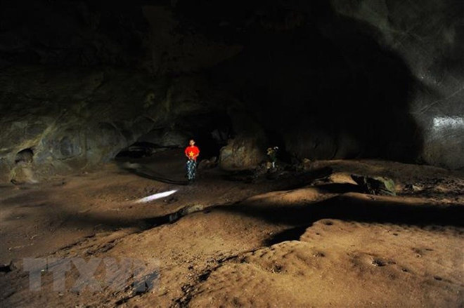 Việt Nam đăng cai tổ chức đại hội địa chất và năng lượng Đông Nam Á ảnh 1