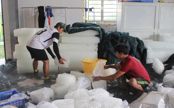 Vải thiều Lục Ngạn vụ 2018 có chất lượng tốt nhất từ trước đến nay ảnh 3