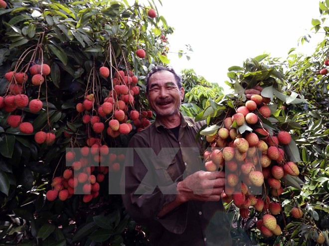 Sự kiện trong nước 20-26/6: 9 quân nhân máy bay CASA-212 đã hy sinh ảnh 5